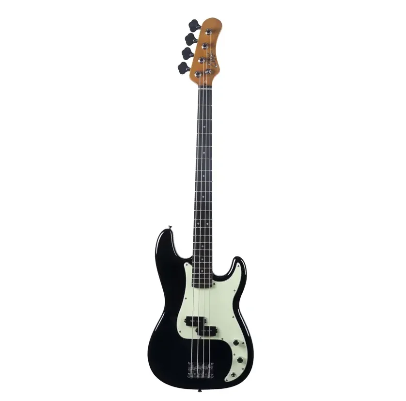 Eko PB-300 Eko Guitars • PB-300 "Tribute 300" - immagine 1