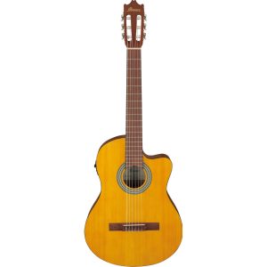 Ibanez GA3ECE • Classica elettrificata